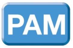 PAM (Công Nghệ Điều Biến Biên Độ Xung)
